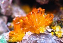 Kasolite