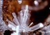 Laurionite