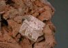 Leucophanite