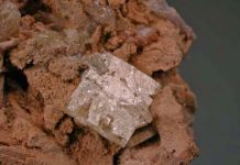 Leucophanite