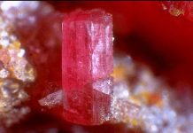 Leucophoenicite