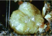 Matlockite