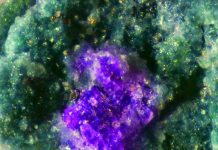Putnisite: New Mineral Discovered in Australia