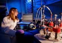 New, fossil-fuel-free process makes biodiesel sustainable