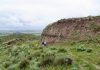 Buried fossil soils found to be awash in carbon