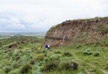 Buried fossil soils found to be awash in carbon