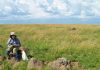 Crater discovery’s impact echoes still today
