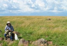 Crater discovery’s impact echoes still today