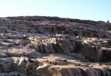 Kimberley rocks tell first mass extinction of complex life
