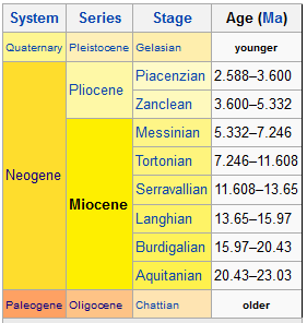 miocene period