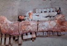 Largest dinosaur? Paleontologists unearth new heavyweight in Argentina