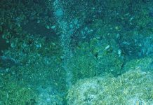 Probing the depths of the methane world
