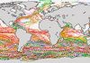 Seeding oceans with iron may not confer promised climate benefits