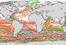 Seeding oceans with iron may not confer promised climate benefits