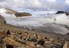 International team maps nearly 200,000 global glaciers in quest for sea rise answers