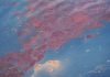Researchers examine fate of methane following the Deepwater Horizon spill