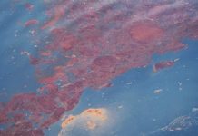Researchers examine fate of methane following the Deepwater Horizon spill