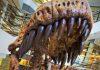How do we know what we know about dinosaur behaviour?