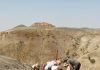 What a 66-million-year old forest fire reveals about the last days of the dinosaurs