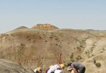 What a 66-million-year old forest fire reveals about the last days of the dinosaurs