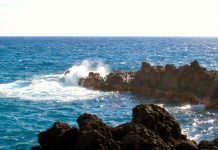 Earth’s breathable atmosphere a result of continents taking control of the carbon cycle