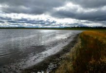 New permafrost is forming around shrinking Arctic lakes, but will it last?