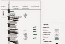 New Ichthyosaur Graveyard Found