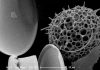 Warming climates intensify greenhouse gas given out by oceans