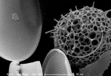 Warming climates intensify greenhouse gas given out by oceans