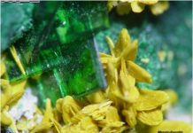 Metatorbernite