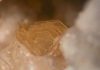 Molybdenite
