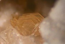 Molybdenite