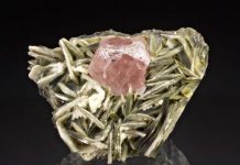 Muscovite