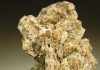 Newberyite