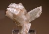 Pectolite