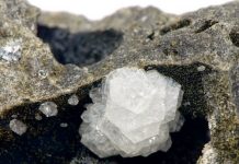 Phillipsite