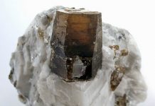 Phlogopite