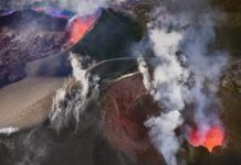Volcanic mayhem drove major burst of evolution