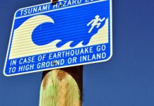 Extinct undersea volcanoes squashed under Earth’s crust cause tsunami earthquakes