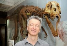 Q&A: Will the fossil record preserve your computer?