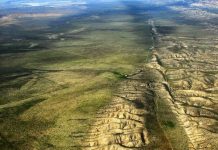 Could Pulses in Earth’s Magnetic Field Forecast Earthquakes?