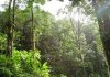 Hot tropical oceans during Pliocene greenhouse warming