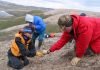 Ancient Arctic sharks tolerated brackish water 50 million years ago