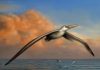 World’s biggest-ever flying bird discovered
