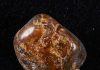 One secret of ancient amber revealed