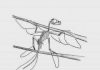 Birdlike fossil challenges notion that birds evolved from ground-dwelling dinosaurs