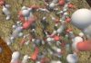 Pressure cell for reproducing deep-Earth chemistry