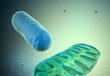 Four-billion-year-old chemistry in cells today