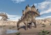 Dinosaurs fell victim to perfect storm of events, study shows