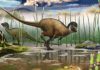 Fossils found in Siberia suggest all dinosaurs could have been feathered